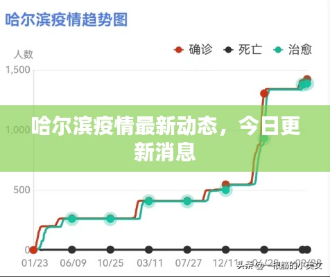 哈尔滨疫情最新动态，今日更新消息