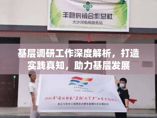 基层调研工作深度解析，打造实践真知，助力基层发展