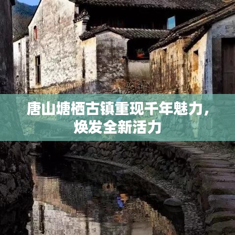 唐山塘栖古镇重现千年魅力，焕发全新活力