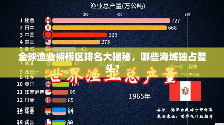 全球渔业捕捞区排名大揭秘，哪些海域独占鳌头？