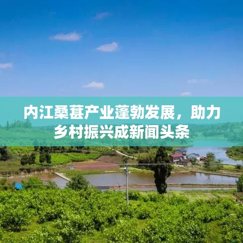 内江桑葚产业蓬勃发展，助力乡村振兴成新闻头条