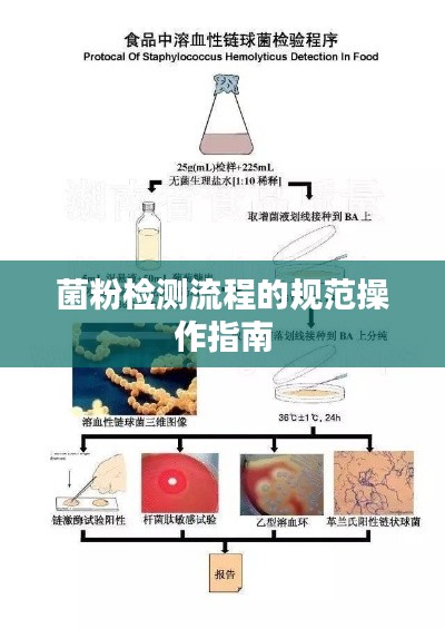 菌粉检测流程的规范操作指南
