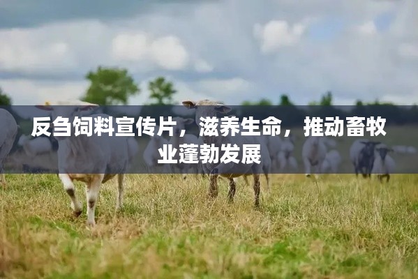 反刍饲料宣传片，滋养生命，推动畜牧业蓬勃发展