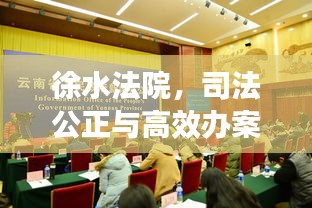 徐水法院，司法公正与高效办案的典范新闻头条