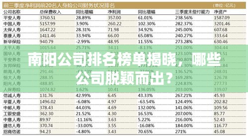 南阳公司排名榜单揭晓，哪些公司脱颖而出？