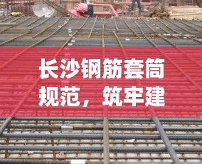 长沙钢筋套筒规范，筑牢建筑安全基石，专业标准构建坚固之基