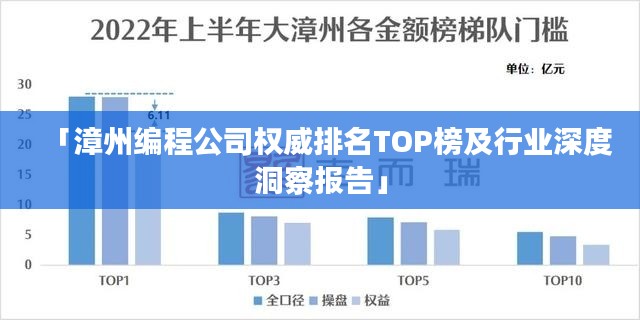 「漳州编程公司权威排名TOP榜及行业深度洞察报告」