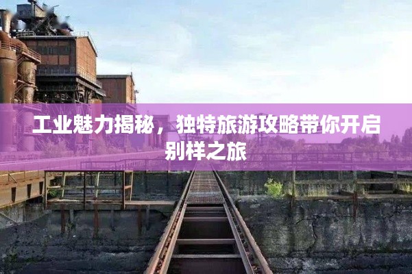 2025年5月20日