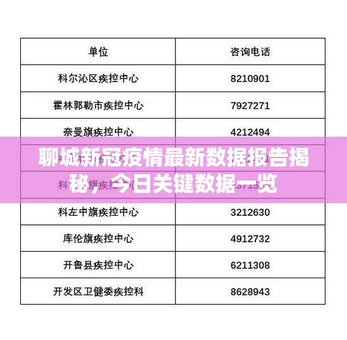 聊城新冠疫情最新数据报告揭秘，今日关键数据一览