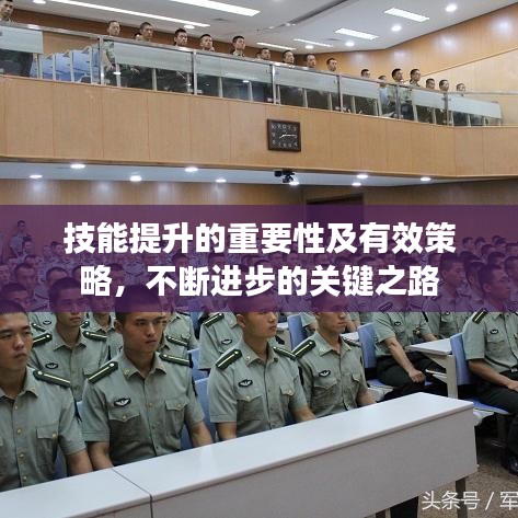 技能提升的重要性及有效策略，不断进步的关键之路