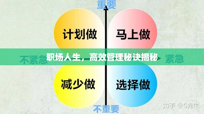 职场人生，高效管理秘诀揭秘