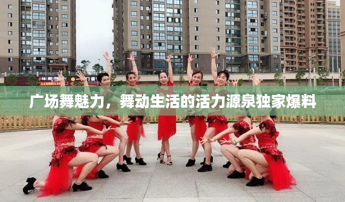 广场舞魅力，舞动生活的活力源泉独家爆料