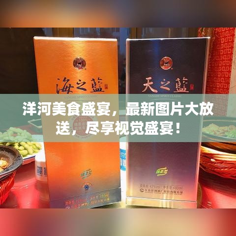 洋河美食盛宴，最新图片大放送，尽享视觉盛宴！