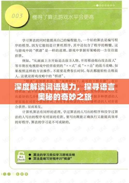 深度解读词语魅力，探寻语言奥秘的奇妙之旅