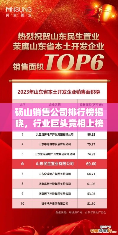 砀山销售公司排行榜揭晓，行业巨头竞相上榜，你不可不知的几家企业！