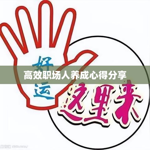高效职场人养成心得分享