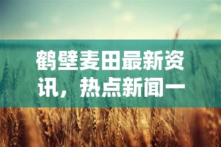 鹤壁麦田最新资讯，热点新闻一览无余