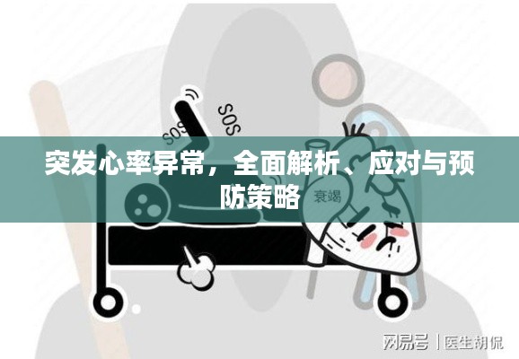 突发心率异常，全面解析、应对与预防策略