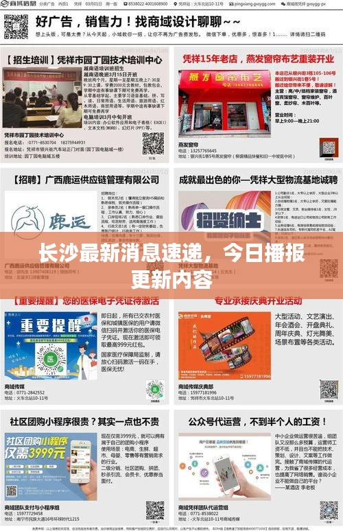 长沙最新消息速递，今日播报更新内容