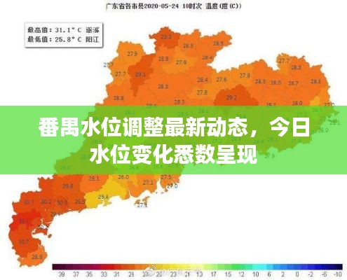 番禺水位调整最新动态，今日水位变化悉数呈现