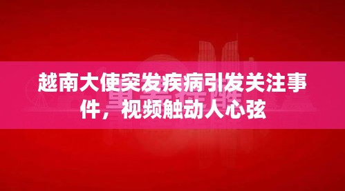 越南大使突发疾病引发关注事件，视频触动人心弦