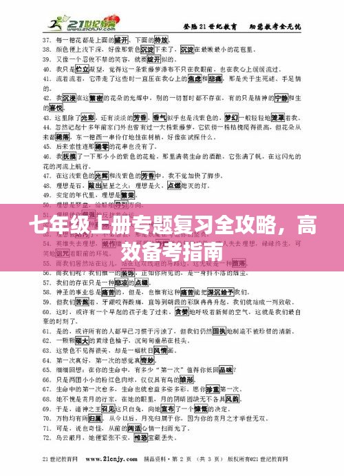 七年级上册专题复习全攻略，高效备考指南