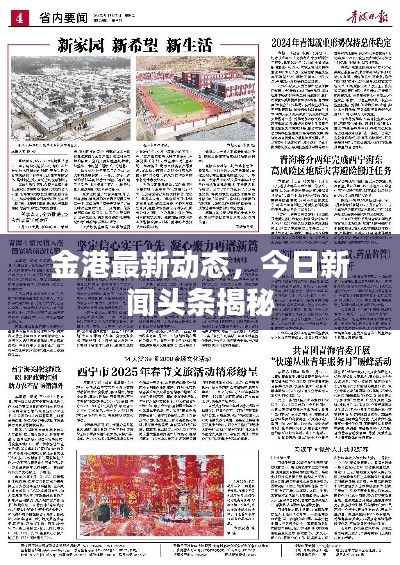 金港最新动态，今日新闻头条揭秘