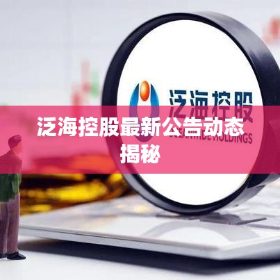泛海控股最新公告动态揭秘