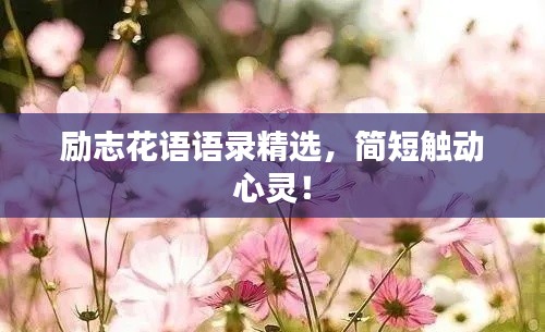 励志花语语录精选，简短触动心灵！