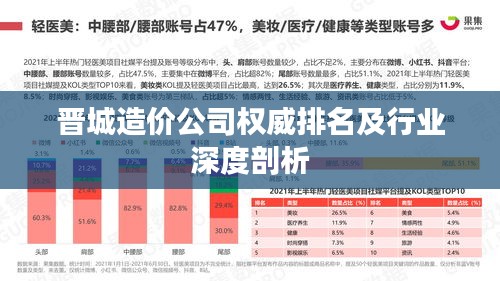 晋城造价公司权威排名及行业深度剖析