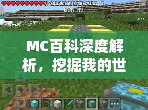 MC百科深度解析，挖掘我的世界中的知识宝藏
