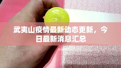 武夷山疫情最新动态更新，今日最新消息汇总