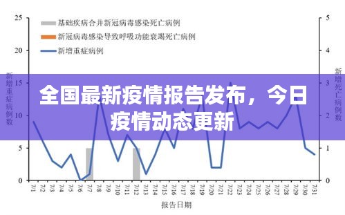 全国最新疫情报告发布，今日疫情动态更新