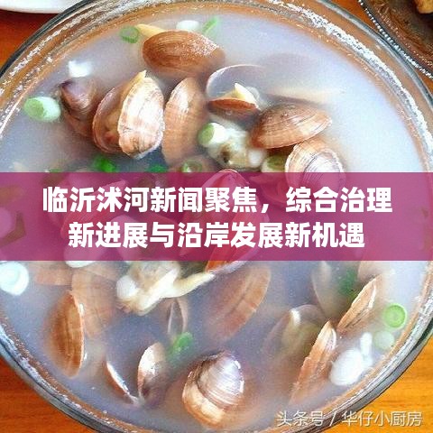 临沂沭河新闻聚焦，综合治理新进展与沿岸发展新机遇
