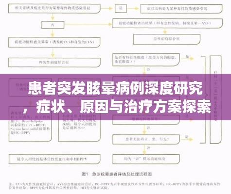 患者突发眩晕病例深度研究，症状、原因与治疗方案探索