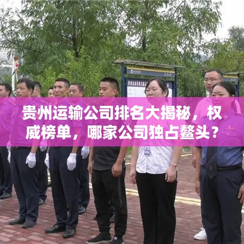 贵州运输公司排名大揭秘，权威榜单，哪家公司独占鳌头？