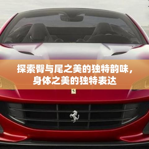 探索臀与尾之美的独特韵味，身体之美的独特表达