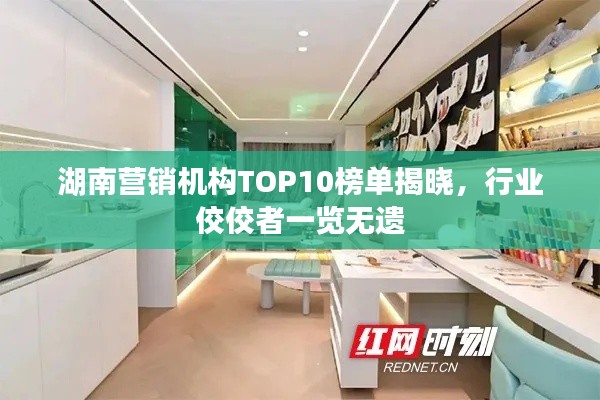 湖南营销机构TOP10榜单揭晓，行业佼佼者一览无遗