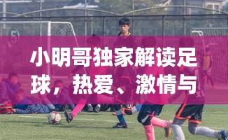 小明哥独家解读足球，热爱、激情与专业，不容错过！