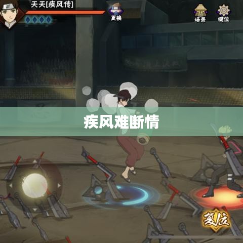 疾风难断情