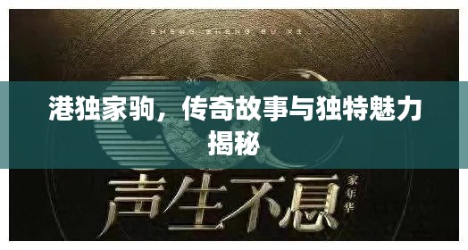 港独家驹，传奇故事与独特魅力揭秘