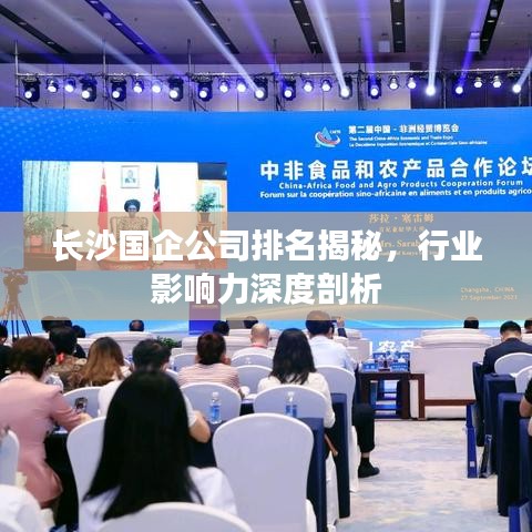 长沙国企公司排名揭秘，行业影响力深度剖析