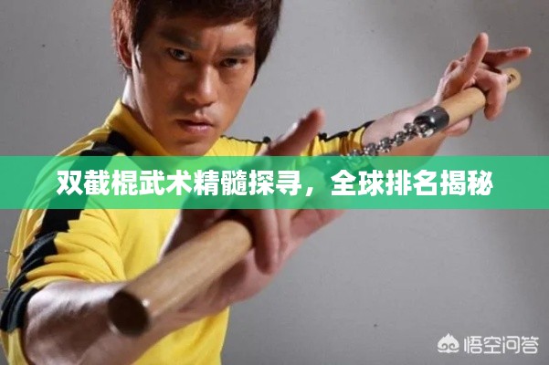 双截棍武术精髓探寻，全球排名揭秘