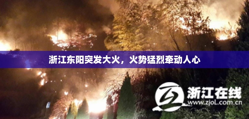 浙江东阳突发大火，火势猛烈牵动人心