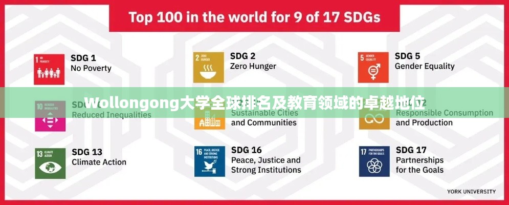 Wollongong大学全球排名及教育领域的卓越地位