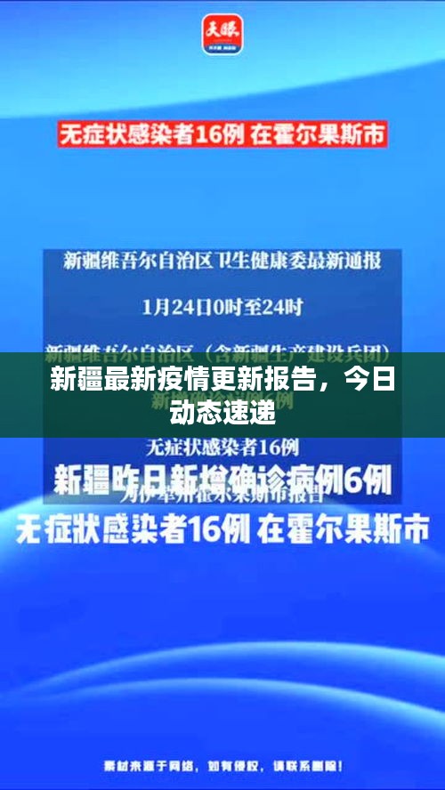 新疆最新疫情更新报告，今日动态速递