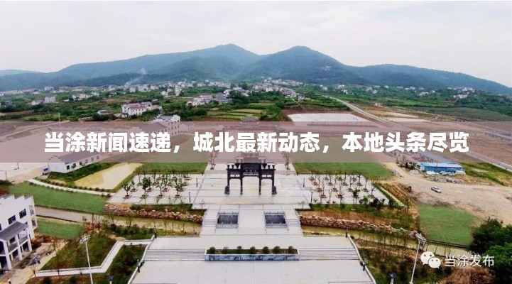 2025年6月 第118页
