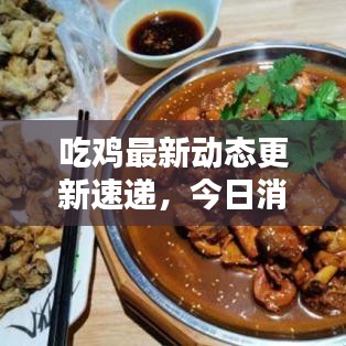 吃鸡最新动态更新速递，今日消息一网打尽！