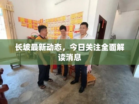 长坡最新动态，今日关注全面解读消息