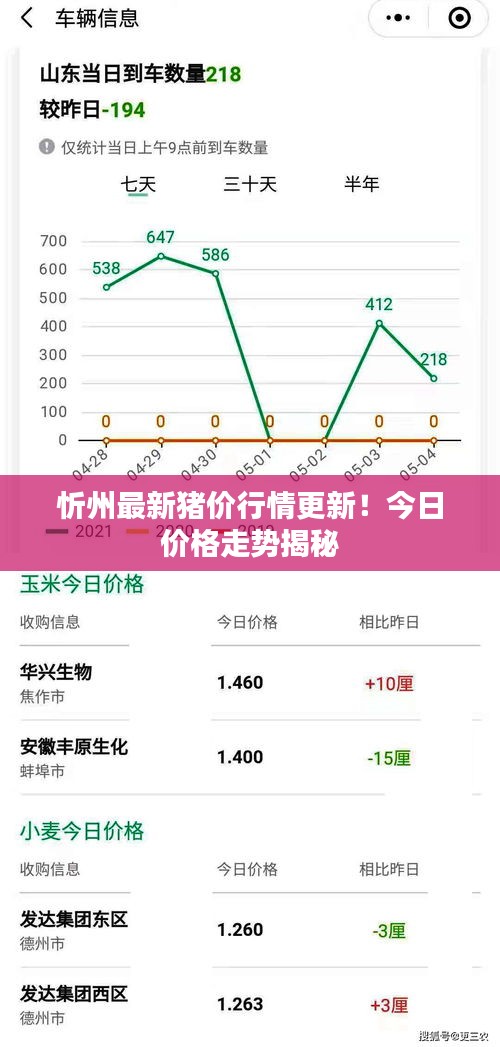 忻州最新猪价行情更新！今日价格走势揭秘